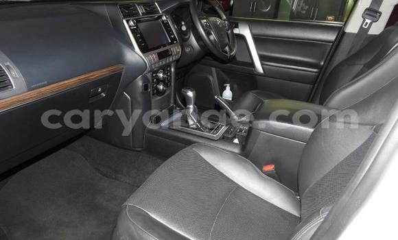 Acheter Occasion Voiture Toyota Land Cruiser Prado Blanc à Grootfontein, Namibie Acheter Occasion Voiture Toyota Land Cruiser Prado Blanc à Grootfontein, Namibie