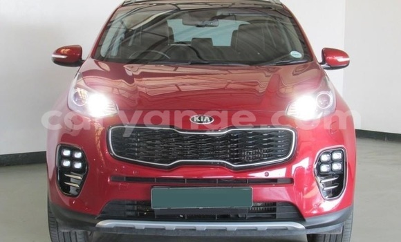 Buy Used Kia Sportage Red Car in Windhoek in Namibia Buy Used Kia Sportage Red Car in Windhoek in Namibia