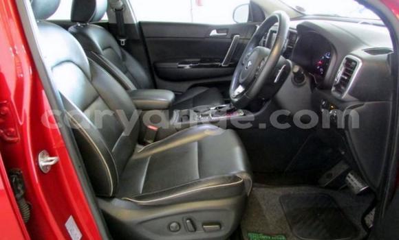 Buy Used Kia Sportage Red Car in Windhoek in Namibia Buy Used Kia Sportage Red Car in Windhoek in Namibia