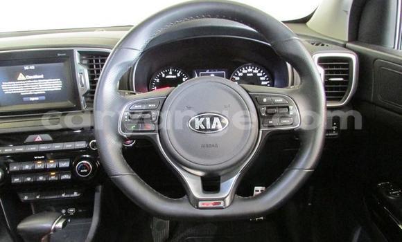 Buy Used Kia Sportage Red Car in Windhoek in Namibia Buy Used Kia Sportage Red Car in Windhoek in Namibia
