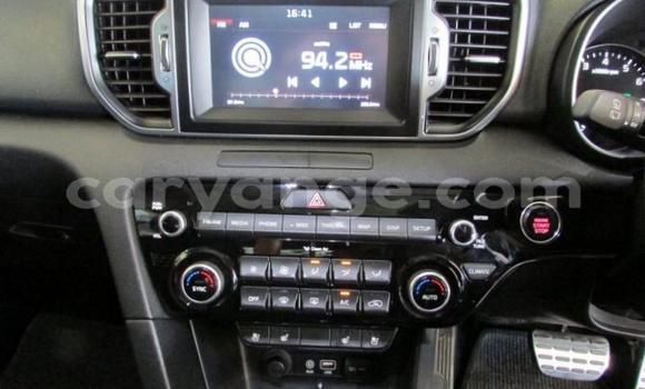 Buy Used Kia Sportage Red Car in Windhoek in Namibia Buy Used Kia Sportage Red Car in Windhoek in Namibia