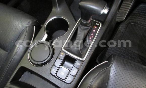 Buy Used Kia Sportage Red Car in Windhoek in Namibia Buy Used Kia Sportage Red Car in Windhoek in Namibia