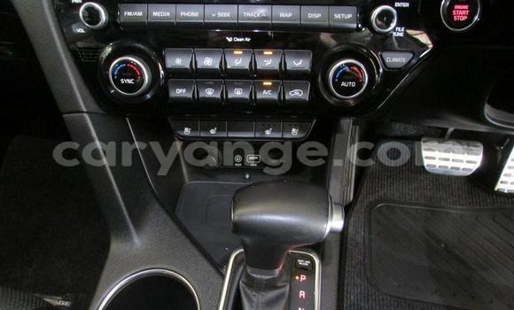 Buy Used Kia Sportage Red Car in Windhoek in Namibia Buy Used Kia Sportage Red Car in Windhoek in Namibia