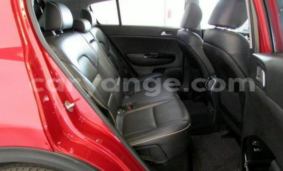 Buy Used Kia Sportage Red Car in Windhoek in Namibia Buy Used Kia Sportage Red Car in Windhoek in Namibia