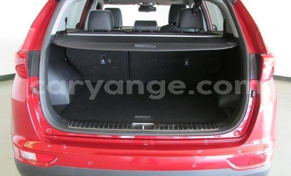 Buy Used Kia Sportage Red Car in Windhoek in Namibia Buy Used Kia Sportage Red Car in Windhoek in Namibia