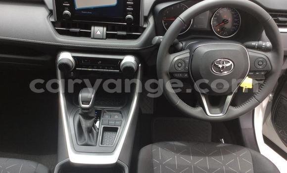 Buy Used Toyota RAV4 White Car in Grootfontein in Namibia Buy Used Toyota RAV4 White Car in Grootfontein in Namibia