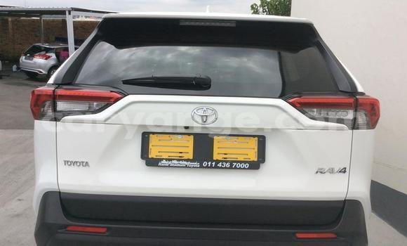 Buy Used Toyota RAV4 White Car in Grootfontein in Namibia Buy Used Toyota RAV4 White Car in Grootfontein in Namibia