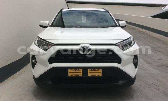 Buy Used Toyota RAV4 White Car in Luderitz in Karas