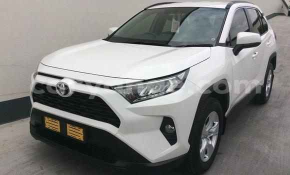 Buy Used Toyota RAV4 White Car in Luderitz in Karas Buy Used Toyota RAV4 White Car in Luderitz in Karas