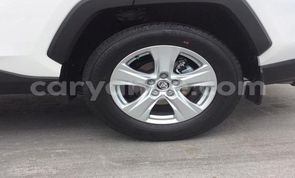 Buy Used Toyota RAV4 White Car in Luderitz in Karas Buy Used Toyota RAV4 White Car in Luderitz in Karas