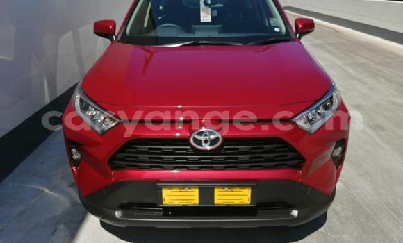 Buy Used Toyota RAV4 Red Car in Gobabis in Omaheke