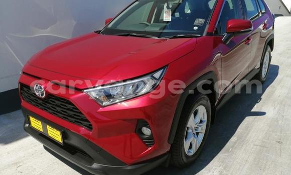 Buy Used Toyota RAV4 Red Car in Gobabis in Omaheke Buy Used Toyota RAV4 Red Car in Gobabis in Omaheke