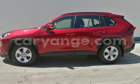 Buy Used Toyota RAV4 Red Car in Gobabis in Omaheke Buy Used Toyota RAV4 Red Car in Gobabis in Omaheke