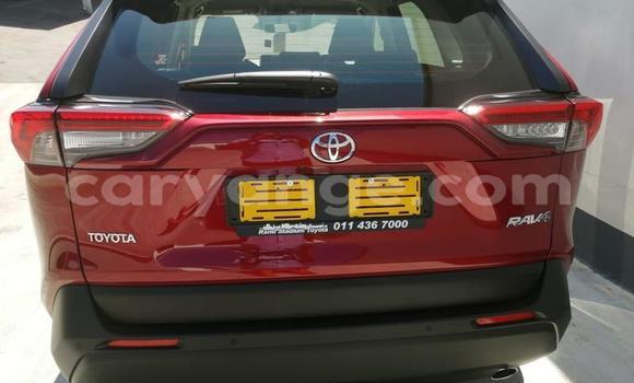 Buy Used Toyota RAV4 Red Car in Gobabis in Omaheke Buy Used Toyota RAV4 Red Car in Gobabis in Omaheke
