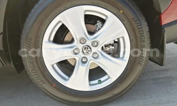 Buy Used Toyota RAV4 Red Car in Gobabis in Omaheke Buy Used Toyota RAV4 Red Car in Gobabis in Omaheke