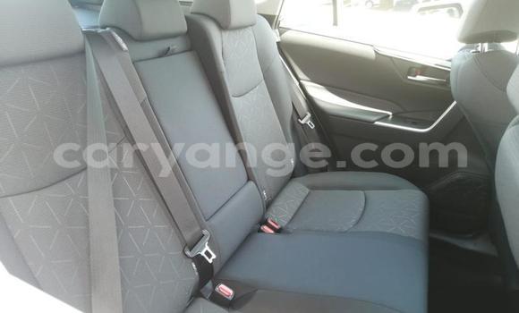 Buy Used Toyota RAV4 Red Car in Gobabis in Omaheke Buy Used Toyota RAV4 Red Car in Gobabis in Omaheke