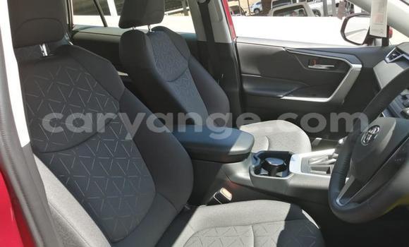 Buy Used Toyota RAV4 Red Car in Gobabis in Omaheke Buy Used Toyota RAV4 Red Car in Gobabis in Omaheke