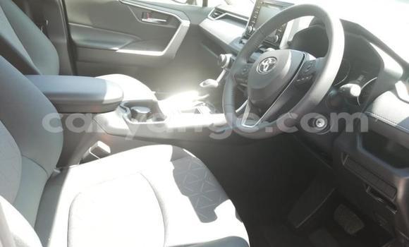 Buy Used Toyota RAV4 Red Car in Gobabis in Omaheke Buy Used Toyota RAV4 Red Car in Gobabis in Omaheke