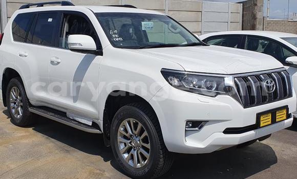 Buy Used Toyota Land Cruiser Prado White Car in Henties Bay in Erongo