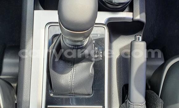 Buy Used Toyota Land Cruiser Prado White Car in Henties Bay in Erongo Buy Used Toyota Land Cruiser Prado White Car in Henties Bay in Erongo