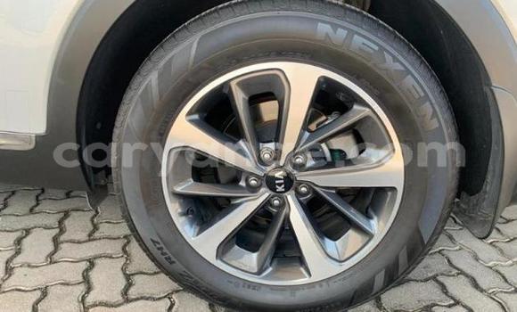 Buy Used Haval H9 Other Car in Grootfontein in Namibia Buy Used Haval H9 Other Car in Grootfontein in Namibia