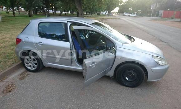 Buy Used Peugeot 307 Silver Car in Tsumeb in Oshikoto