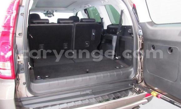 Buy Used Haval H9 Other Car in Grootfontein in Namibia Buy Used Haval H9 Other Car in Grootfontein in Namibia