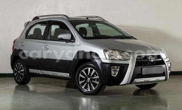 Acheter Occasion Voiture Toyota Etios Gris à Windhoek, Namibie