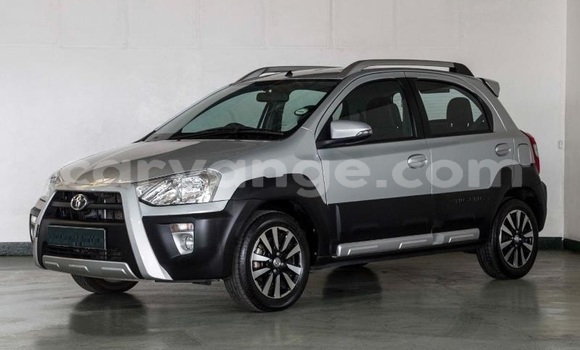 Acheter Occasion Voiture Toyota Etios Gris à Windhoek, Namibie Acheter Occasion Voiture Toyota Etios Gris à Windhoek, Namibie