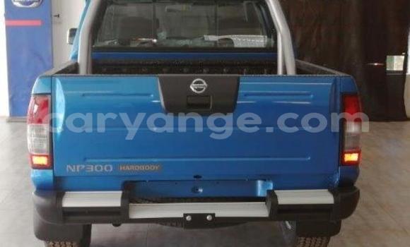 Buy Used Nissan NP 300 Blue Car in Rehoboth in Hardap Buy Used Nissan NP 300 Blue Car in Rehoboth in Hardap