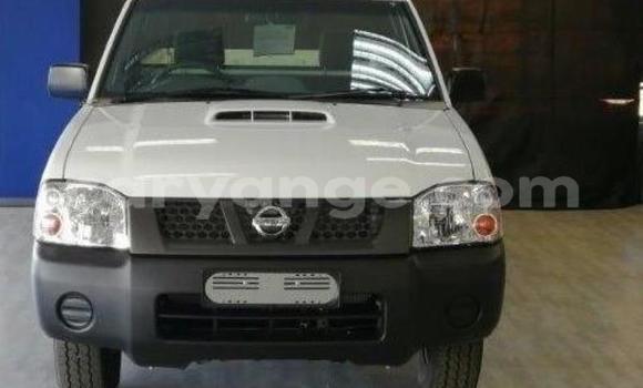 Buy Used Nissan NP 300 White Car in Gobabis in Omaheke