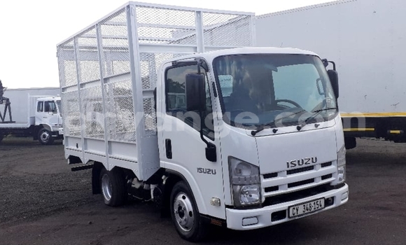 Buy Used Isuzu FTR 850 White Truck in Windhoek in Namibia Buy Used Isuzu FTR 850 White Truck in Windhoek in Namibia