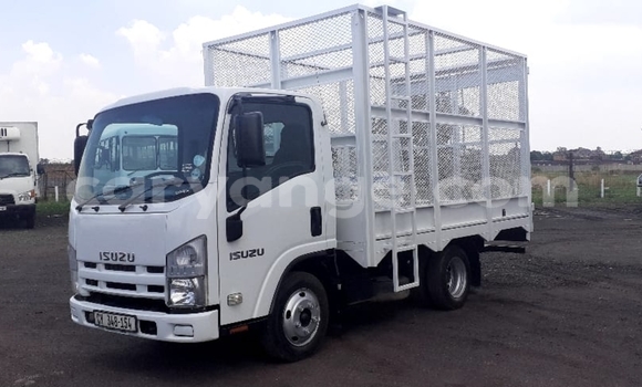 Buy Used Isuzu FTR 850 White Truck in Windhoek in Namibia Buy Used Isuzu FTR 850 White Truck in Windhoek in Namibia