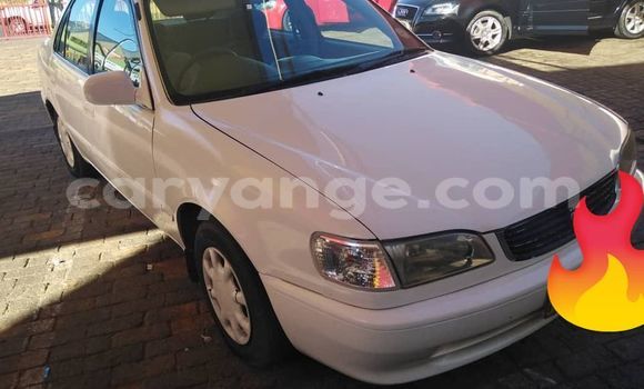 Buy Used Toyota Corolla White Car in Arandis in Kunene