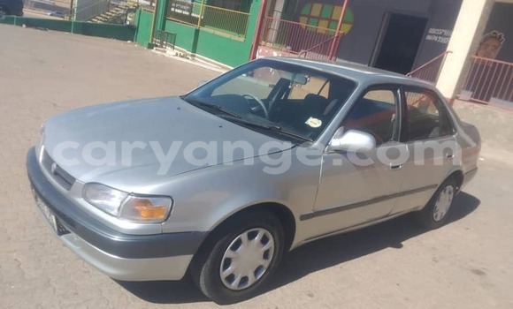 Buy Used Toyota Corolla Silver Car in Windhoek in Namibia Buy Used Toyota Corolla Silver Car in Windhoek in Namibia