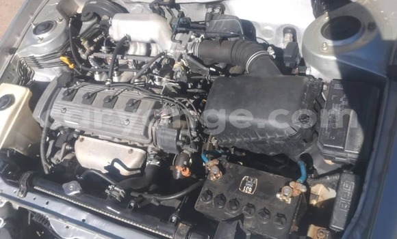 Buy Used Toyota Corolla Silver Car in Windhoek in Namibia Buy Used Toyota Corolla Silver Car in Windhoek in Namibia