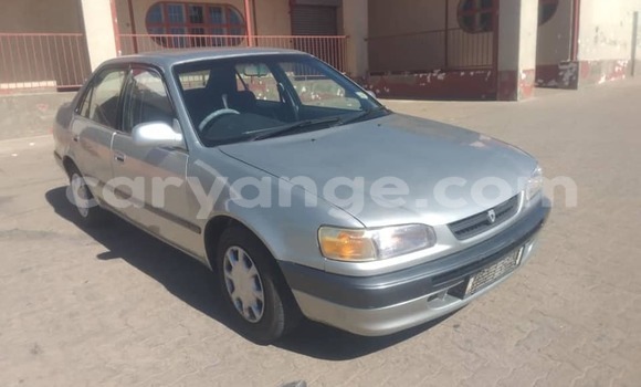 Buy Used Toyota Corolla Silver Car in Windhoek in Namibia Buy Used Toyota Corolla Silver Car in Windhoek in Namibia