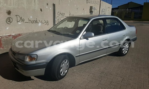 Buy Used Toyota Corolla Silver Car in Windhoek in Namibia Buy Used Toyota Corolla Silver Car in Windhoek in Namibia