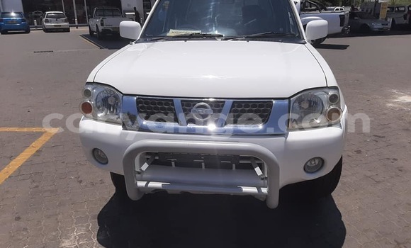 Buy Used Nissan Hardbody White Car in Windhoek in Namibia Buy Used Nissan Hardbody White Car in Windhoek in Namibia