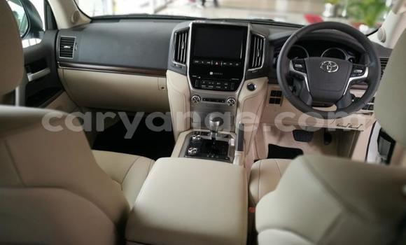 Buy Used Toyota Land Cruiser White Car in Henties Bay in Erongo Buy Used Toyota Land Cruiser White Car in Henties Bay in Erongo