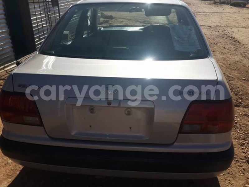 Big with watermark 12246943 182416722103972 7320878356632924429 n