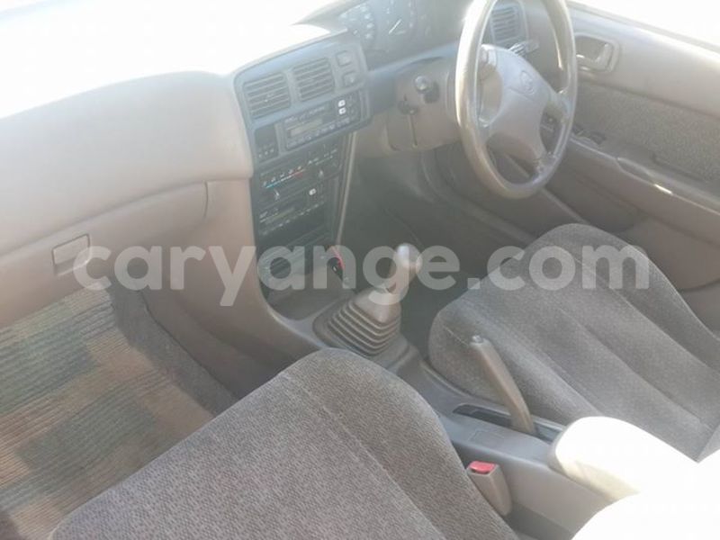 Big with watermark 12295501 182417188770592 3994132830575072043 n