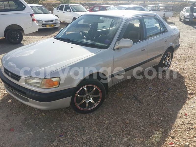 Big with watermark 11046171 182809418731369 728424338265575276 n