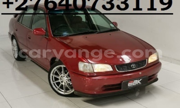 Buy Used Toyota Corolla Red Car in Windhoek in Namibia