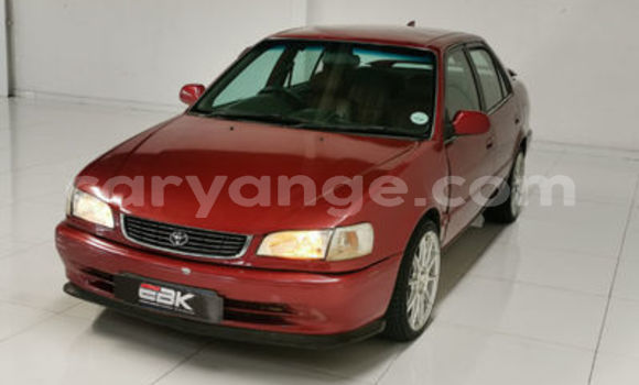 Acheter Occasion Voiture Toyota Corolla Rouge à Windhoek, Namibie Acheter Occasion Voiture Toyota Corolla Rouge à Windhoek, Namibie