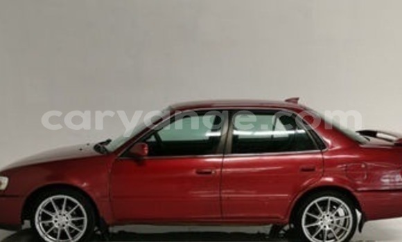 Acheter Occasion Voiture Toyota Corolla Rouge à Windhoek, Namibie Acheter Occasion Voiture Toyota Corolla Rouge à Windhoek, Namibie