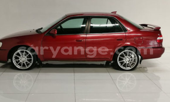 Acheter Occasion Voiture Toyota Corolla Rouge à Windhoek, Namibie Acheter Occasion Voiture Toyota Corolla Rouge à Windhoek, Namibie