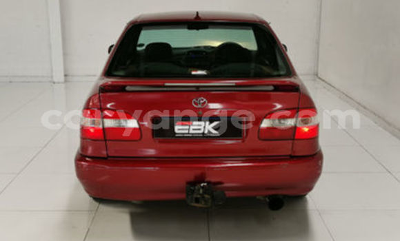 Acheter Occasion Voiture Toyota Corolla Rouge à Windhoek, Namibie Acheter Occasion Voiture Toyota Corolla Rouge à Windhoek, Namibie