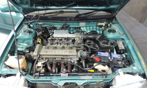 Acheter Occasion Voiture Toyota Corolla Vert à Windhoek, Namibie Acheter Occasion Voiture Toyota Corolla Vert à Windhoek, Namibie