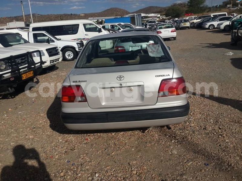 Big with watermark 12239530 182809532064691 1139842380283733547 n